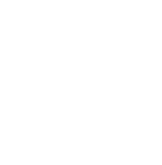 Figueroa Law